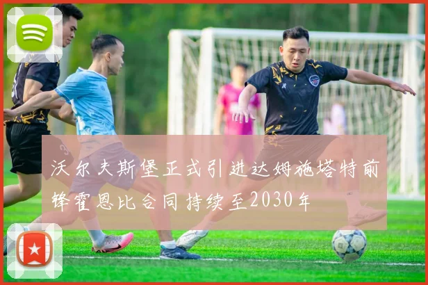 沃尔夫斯堡正式引进达姆施塔特前锋霍恩比合同持续至2030年
